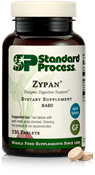 Zypan